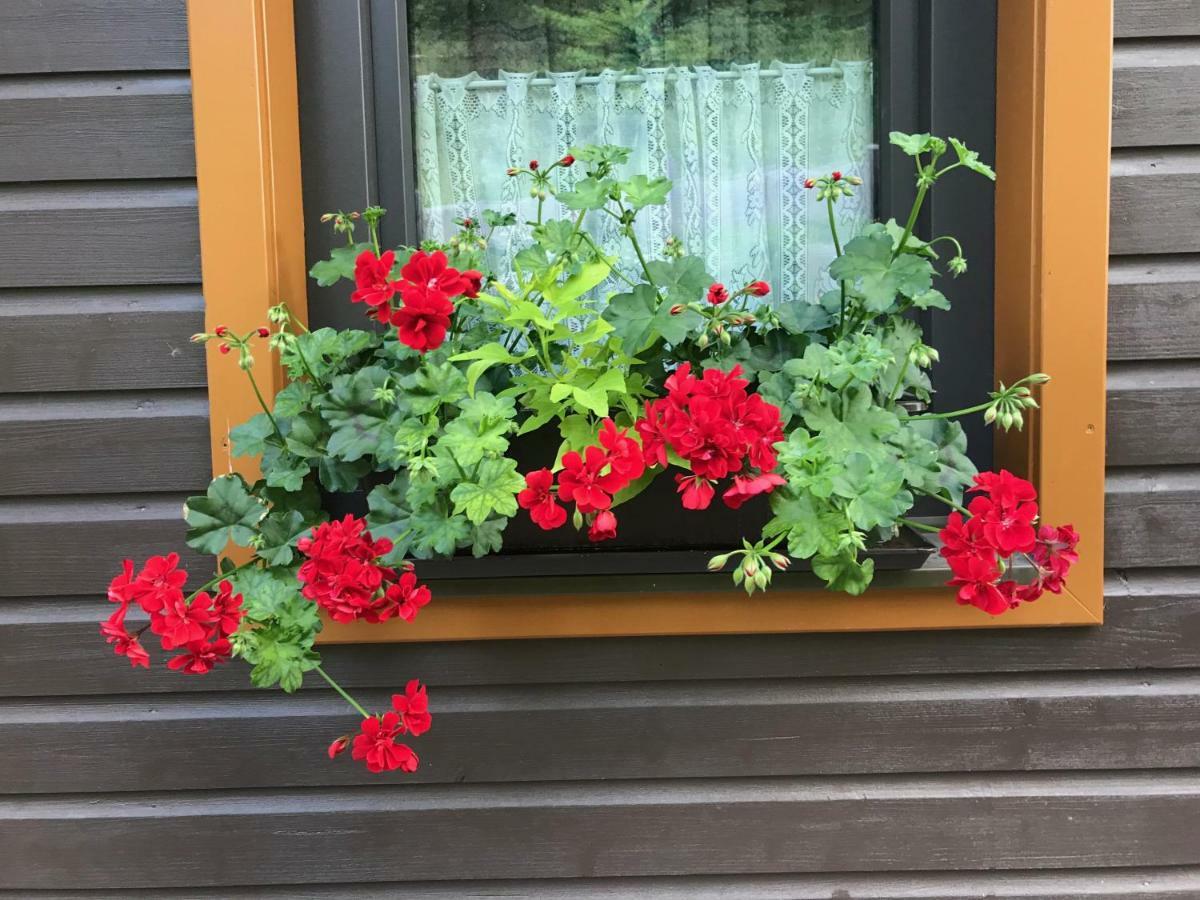Ferienhaus Bergfee Klippitztorl Zewnętrze zdjęcie