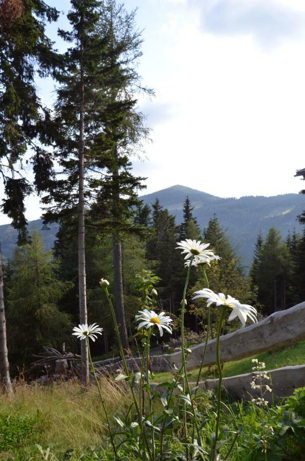 Ferienhaus Bergfee Klippitztorl Zewnętrze zdjęcie