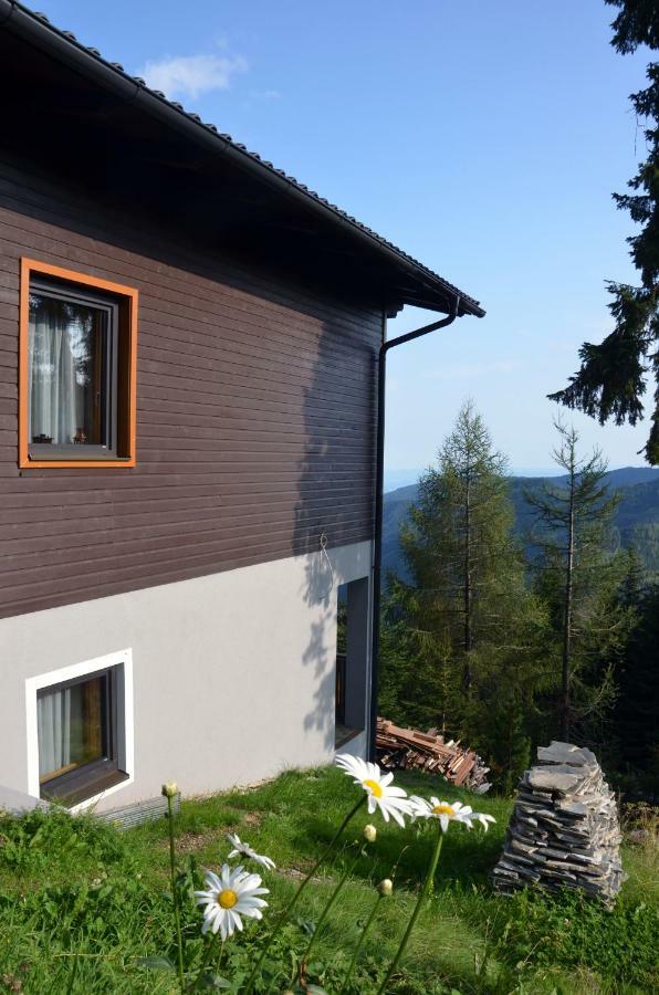 Ferienhaus Bergfee Klippitztorl Zewnętrze zdjęcie