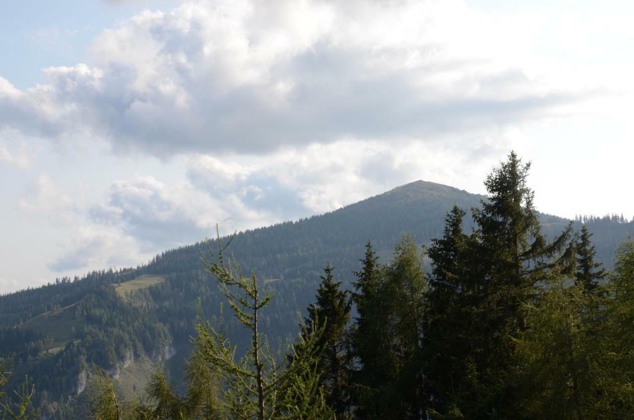 Ferienhaus Bergfee Klippitztorl Zewnętrze zdjęcie